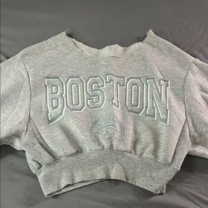 Gray Boston Cropped Sweatshirt